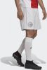 Adidas Performance Junior Ajax Amsterdam voetbalshort thuis online kopen