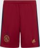 Adidas Ajax Amsterdam 22/23 Uitshort Team Victory Red Kind online kopen