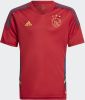 Adidas Kids adidas Ajax Trainingsshirt 2022 2023 Kids Donkerrood Donkerblauw Goud online kopen