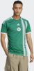 Adidas Algerije Uitshirt 2022 2024 online kopen