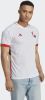 Adidas belgië uitshirt 22/23 wit/blauw heren online kopen