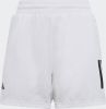 Adidas Club 3 Stripes Shorts Jongens online kopen