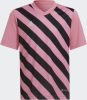 Adidas Kids adidas Entrada 22 Graphic Voetbalshirt Kids Roze Zwart online kopen