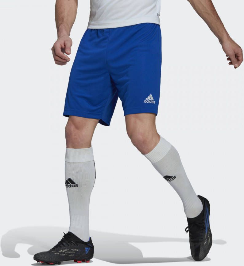 Adidas Performance Senior sportshort kobaltblauw online kopen