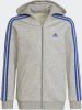 Adidas Hoodie Essentials 3 Stripes Grijs/Blauw Kinderen online kopen