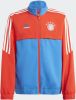 Adidas Fc Bayern Condivo 22 Presentation Basisschool Track Tops online kopen