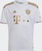 Adidas FC Bayern Mü, nchen 22/23 Uitshirt White/Dark Football Gold Kind online kopen