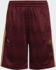 Adidas Trainingsshorts Mo Salah Bordeaux/Goud Kinderen online kopen