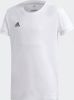 Adidas T shirt Korte Mouw TEAM19 SS Jersey Women online kopen