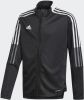 Adidas Kids adidas Tiro 21 Trainingsjack Kids Zwart Wit online kopen