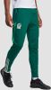 Adidas Mexico Trainingsbroek Tiro 23 2022/23 Groen online kopen