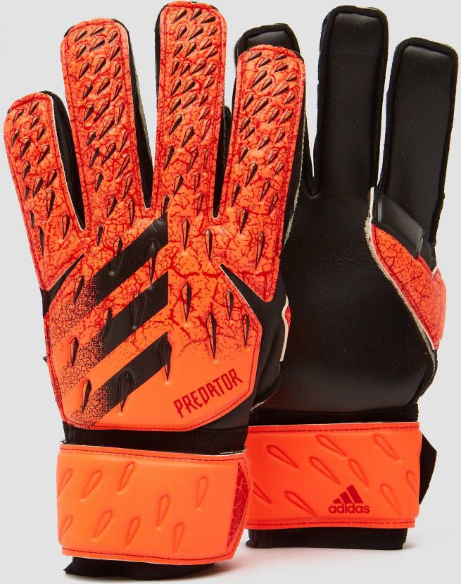Adidas predator goalkeeper match keepershandschoenen rood heren online kopen