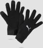 Puma teamliga 21 winter voetbalhandschoenen zwart heren online kopen