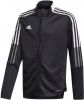 Adidas Kids adidas Tiro 21 Trainingsjack Kids Zwart Wit online kopen