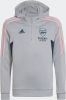 Adidas Kids adidas Arsenal Track Hoodie 2022 2023 Kids Grijs online kopen