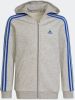 Adidas Hoodie Essentials 3 Stripes Grijs/Blauw Kinderen online kopen