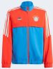 Adidas Fc Bayern Condivo 22 Presentation Basisschool Track Tops online kopen