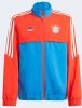 Adidas Fc Bayern Condivo 22 Presentation Basisschool Track Tops online kopen