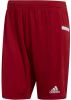 Korte Broek adidas TEAM19 Knit Short online kopen