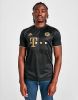 Adidas FC Bayern Munich 2021/22 Uitshirt Heren Black Heren online kopen