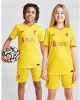 Nike Kids Liverpool FC 2021/22 Stadium Derde Nike voetbalshirt met Dri FIT voor kids Geel online kopen
