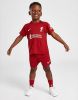 Nike Liverpool FC 2022/23 Thuis Voetbaltenue voor baby's Tough Red/White Kind online kopen