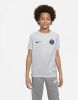 Nike Paris Saint Germain Trainingsshirt Dri FIT Pre Match Grijs/Navy Kinderen online kopen