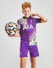 Nike Kids Tottenham Hotspur 2021/22 Stadium Derde Nike voetbalshirt met Dri FIT voor kids Paars online kopen