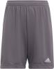 Adidas Kids adidas Entrada 22 Voetbalbroekje Kids Grijs Wit online kopen