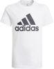 Adidas performance T shirt met korte mouwen Too move logo 5 16 jaar online kopen