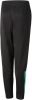 Puma Teamliga Training Pants Junior online kopen