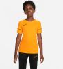 Nike Kids Nike Dri FIT Academy Voetbaltop met korte mouwen voor kids Black/White/White/White online kopen