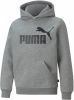 PUMA Hoodie Essentials Big Logo Grijs/Zwart Kinderen online kopen