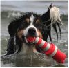 Rogz Lighthouse Floating Hondenspeelgoed 25 cm Rood Wit online kopen
