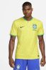 Nike Brazilië 2022/23 Stadium Thuis Dri FIT voetbalshirt voor heren Geel online kopen