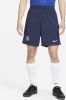 Nike Chelsea FC Strike voetbalshorts met Dri FIT voor heren Blauw online kopen