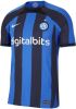 Nike Inter Milan 2022/23 Match Thuis ADV voetbalshirt met Dri FIT voor heren Blauw online kopen
