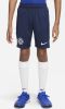 Nike Kids Chelsea FC Strike Nike voetbalshorts met Dri FIT voor kids Blauw online kopen