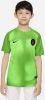 Nike Kids Galatasaray 2022/23 Goalkeeper Nike Dri FIT voetbaltop met korte mouwen voor kids Groen online kopen