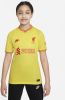 Nike Kids Liverpool FC 2021/22 Stadium Derde Nike voetbalshirt met Dri FIT voor kids Geel online kopen