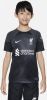 Nike Kids Liverpool FC 2022/23 Stadium Goalkeeper Nike Dri FIT voetbalshirt voor kids Grijs online kopen