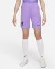 Nike Kids Liverpool FC 2022/23 Stadium Goalkeeper Nike voetbalshorts met Dri FIT voor kids Paars online kopen