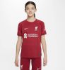 Nike Kids Nike Liverpool FC 2022/23 Stadium Thuis Nike Dri FIT voetbalshirt voor kids Tough Red/Team Red/White Kind online kopen