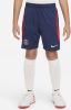 Nike Kids Nike Paris Saint Germain Strike Nike Dri FIT voetbalshorts voor kids Midnight Navy/University Red/White online kopen