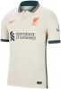 Nike Liverpool FC 2021/22 Stadium Uit Voetbalshirt voor heren Bruin online kopen