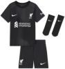 Nike Liverpool FC 2022/23 Goalkeeper Voetbaltenue voor baby's Grijs online kopen
