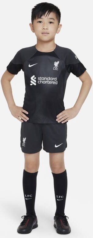 Nike Liverpool FC 2022/23 Goalkeeper Voetbaltenue voor kleuters Grijs online kopen