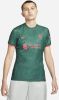 Nike Liverpool FC 2022/23 Stadium Derde Dri FIT voetbalshirt voor dames Groen online kopen