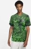 Nike Nigeria 2022/23 Stadium Thuis Dri FIT voetbalshirt voor heren Groen online kopen