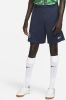Nike Nigeria Strike Dri FIT knit voetbalshorts voor heren Blauw online kopen